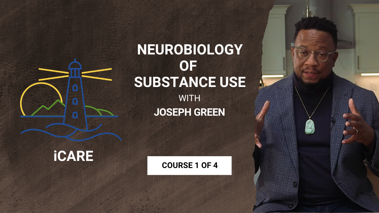 Neurobiology of Substance Use